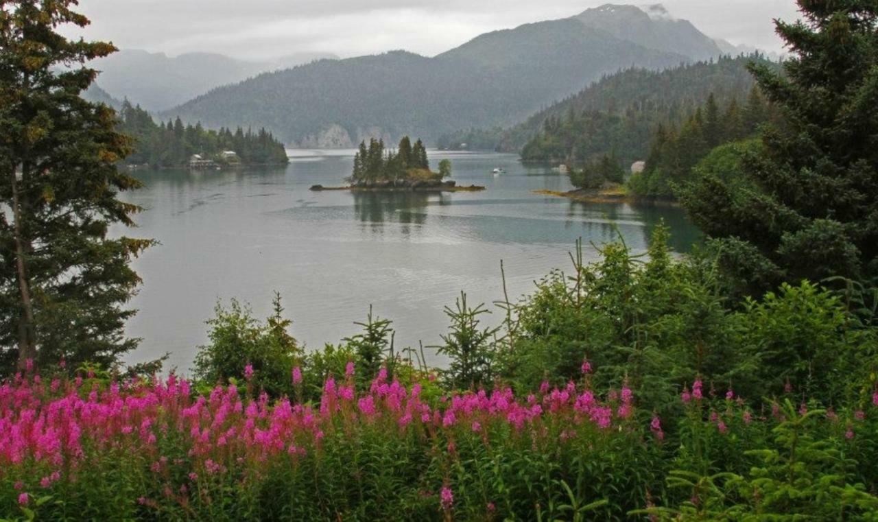 Stillpoint Lodge - All-Inclusive Halibut Cove Exterior photo